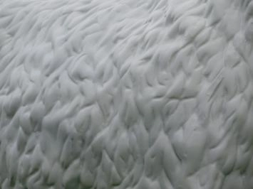 Schaap - polystone beeld - 80 cm - witte kleur - met details