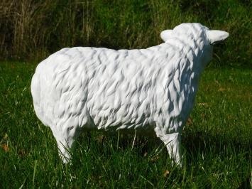 Skulptur Schaf – 45 cm – Polystone