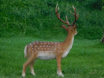 Cerf Sika - polystone - 100 cm - en couleur - détaillé