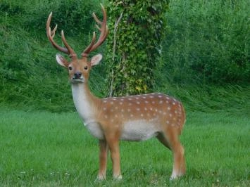 Cerf Sika - polystone - 100 cm - en couleur - détaillé