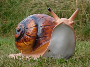 Beeld Slak - 40 cm - Polystone