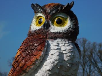 Bruine Uil XL beeld - 70 x 40 cm - kunststof dierenbeeld