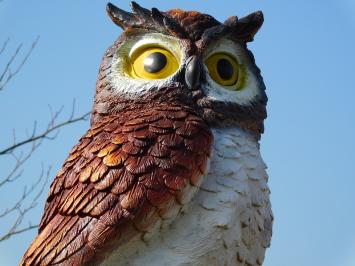 Statue de chouette brune XL - 70 x 40 cm - statue d'animal en plastique