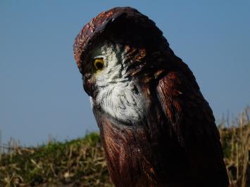Beeld uil van kunststof - dierenfiguur op stronk - 68 cm