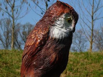 Statue de hibou en plastique - figurine animale sur souche - 68 cm