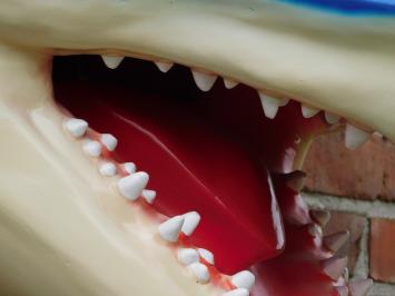 Grote haaienkop met opengesperde bek