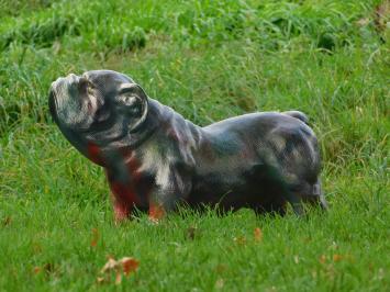 Statue Bulldogge, Gartenstatue / Tierstatue, Polystone