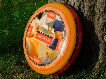 Roue à fromage décorative - Deen Jong Belegen - Ø 35 cm