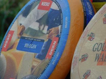 Roue de fromage décorative – différents modèles – plastique – 35 cm