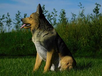 Tuinbeeld Duitse Herder, beeld hond, in detail, polystone