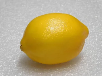 Künstliches Fruchtset mit Apfel, Birne und Zitrusfrüchten – 5-teilig