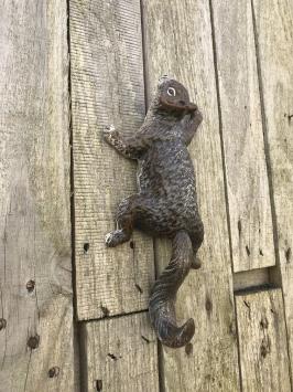 Ein kletterndes Eichhörnchen, aus Gusseisen, Wanddekoration