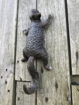 Ein kletterndes Eichhörnchen, aus Gusseisen, Wanddekoration