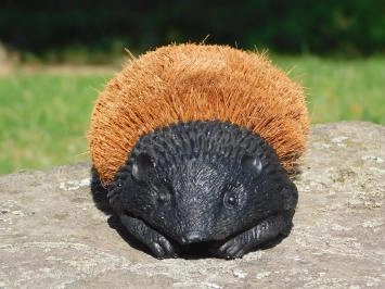 Schuhbürste Igel, Schuhputzer Haustür, Bürste Schuhbürstel