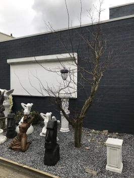 Mangeoire pour oiseaux, mangeoire en forme de gland, très belle décoration de jardin