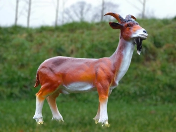 Chèvre avec barbe - statue en polystone - 60 cm - en couleur et en détail