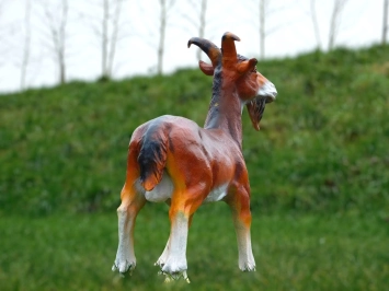 Geit met sik - polystone beeld - 60 cm - in kleur en detail