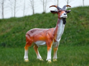 Ziege mit Bart - Polystone Statue - 60 cm - in Farbe und Detail