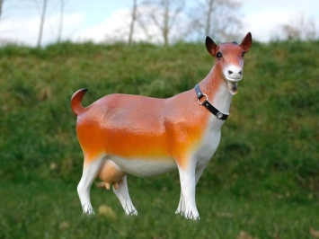 Geit - kunststof beeld - 55 cm - in kleur en detail