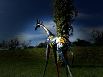 Giraffe uit Zimbabwe - ijzer 1.6 meter