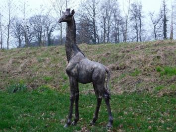 Giraffe groß – Kunststofffigur – 180 cm