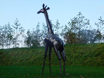 Giraffe Zuri XL - 200 cm - Handgemaakt Metalen Beeld