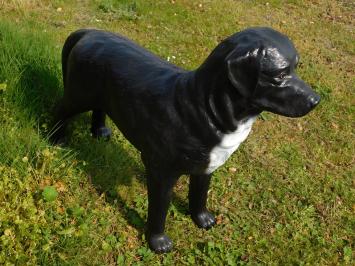 Schöner 'Labrador Retriever' schwarz - aus Polystone