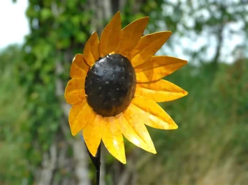 Großer Gartenstecker aus Metall eine Sonnenblumen