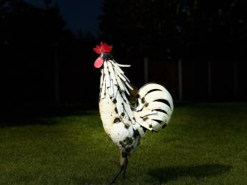 Haan van gerecyclede automaterialen - tuinbeeld