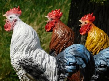 Statue de coq XL – polystone – statue décorative d'animal – 65 cm