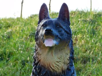 Schäferhund - Polystone Statue - sitzend - 75 cm - in Farbe