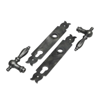 Ferrures de porte d'entrée en fonte - loquets avec plaques de porte - compatibles PC