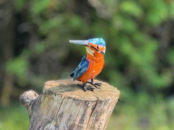 Ijsvogel - handgemaakt ijzer - in kleur