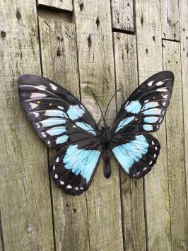 Wanddecoratie vlinder, metaal, in kleur, tuindecoratie vlinders