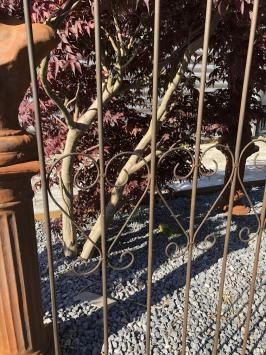 Schöne Zierzaun mit Französisch Lilie Metall als Gartensticher