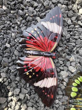 Prachtige set wandvlinders, mooi in kleur en uit metaal