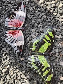 Prachtige set wandvlinders, mooi in kleur en uit metaal