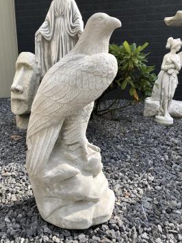 Ein wunderschöner, sitzender Adler, voll mit Stein