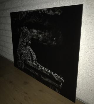 Prachtige kunst op glas van een liggende luipaard / panter, zwart-wit