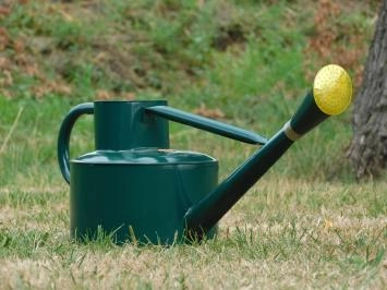 Arrosoir classique - vert foncé - 5L