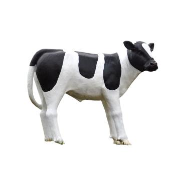 Stier XL van polystone – 120 cm – sculptuur in zwart-wit