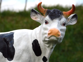 Kuh - Polystone Statue - 60 cm - schwarz/weiß - im Detail