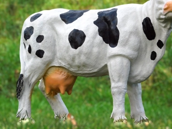 Kuh - Polystone Statue - 60 cm - schwarz/weiß - im Detail