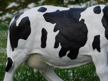 Kuh mit Hörnern - M - Polystone - Detailliert