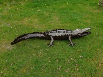 Krokodil-Gartenstatue – Metall – 220 cm – Unikat