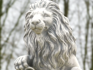 Set van 2 leeuwen - op leeuwensokkel - steen - 100 cm