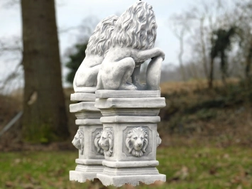 Set van 2 leeuwen - op leeuwensokkel - steen - 100 cm