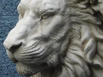 Großer schöner Eindruck voller Löwenkopf, polystein
