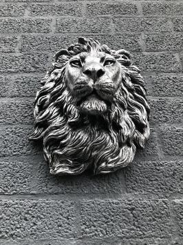 Schöner Löwenkopf für die Wand, schwarz-graues Wandornament, Polystone
