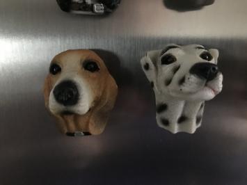 Koelkast magneten, 12 honden als leuke decoratie